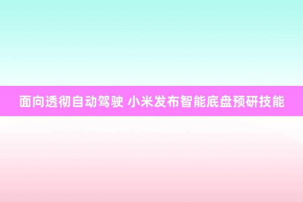 面向透彻自动驾驶 小米发布智能底盘预研技能