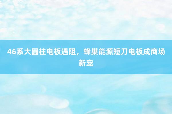 46系大圆柱电板遇阻，蜂巢能源短刀电板成商场新宠