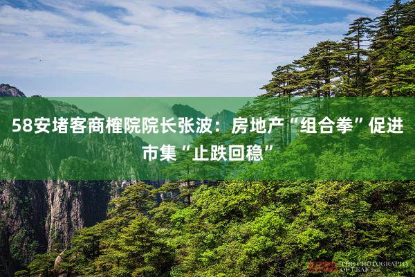 58安堵客商榷院院长张波：房地产“组合拳”促进市集“止跌回稳”